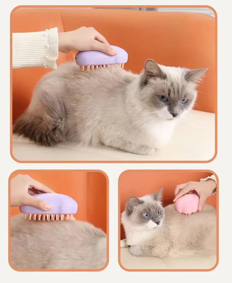 Brosse Anti-Poils à vapeur
